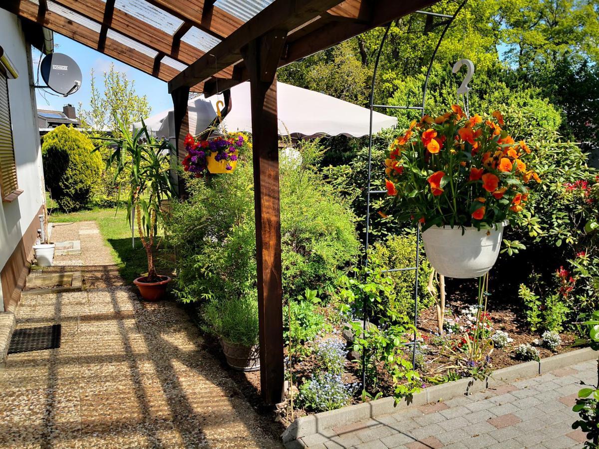 Charmante Ferienwohnung 3 Zimmer Kueche Bad Zentrale Lage Hagen im Bremischen Екстериор снимка
